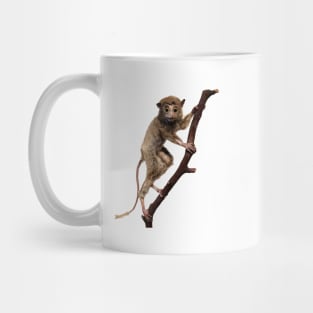 Funny Taxidermy Stuffed Animal Lemur Primate Mug